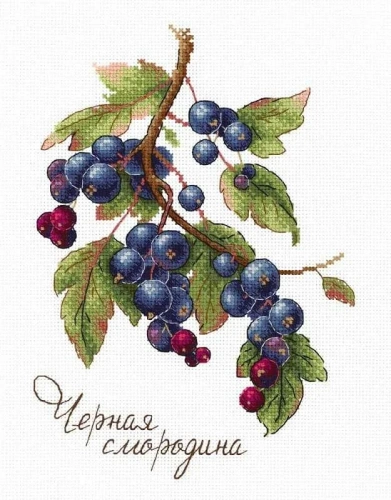 НВ-694 Дары природы. Черная смородина НВ-694 Дары природы. Черная смородина